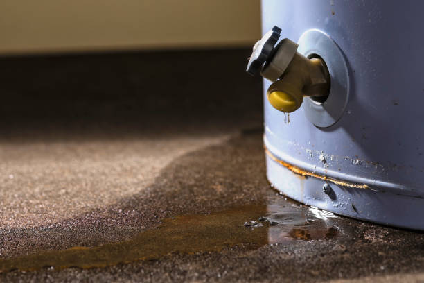 Best Flooded house restoration  in Elysburg, PA