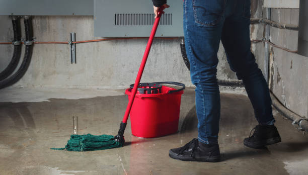Best Water damage mitigation services  in Elysburg, PA