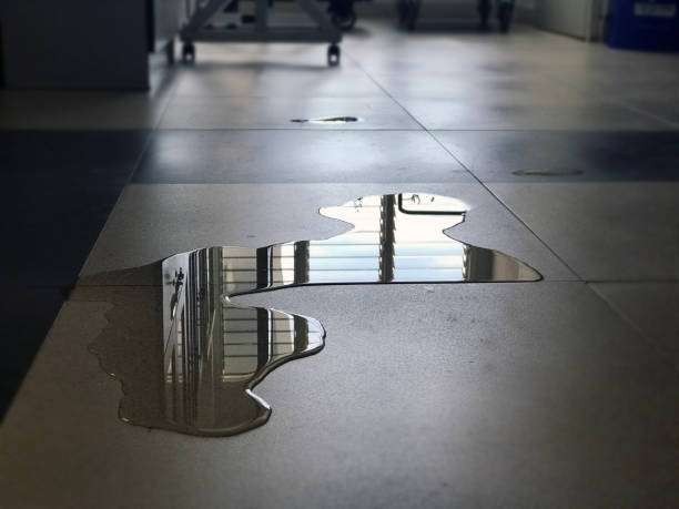 Best Water damage cleanup near me  in Elysburg, PA